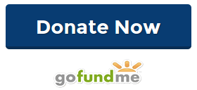 Donate Now (gofundme.com)
