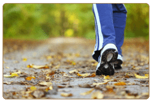 FALL EDITION! Seniors’ Walking Club